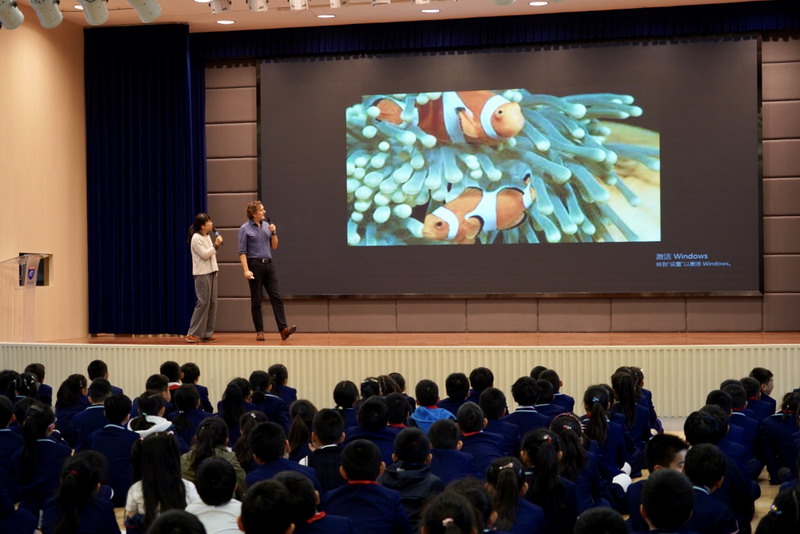 1576541999114429.jpg B9.jpg