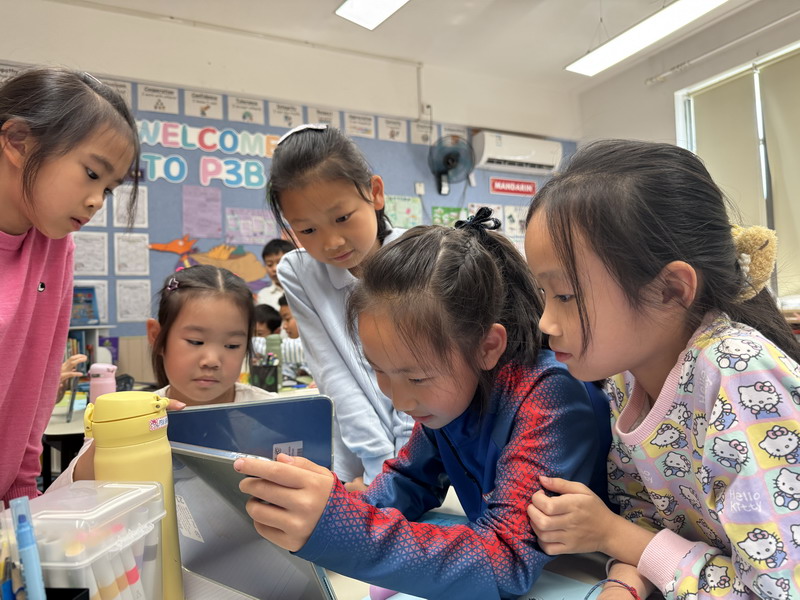 1767315803313259.jpg 照片21.JPG